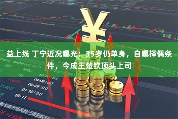 益上线 丁宁近况曝光：35岁仍单身，自曝择偶条件，今成王楚钦顶头上司