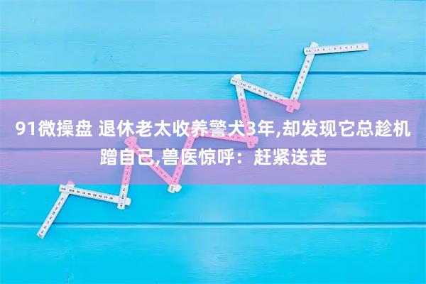 91微操盘 退休老太收养警犬3年,却发现它总趁机蹭自己,兽医惊呼：赶紧送走