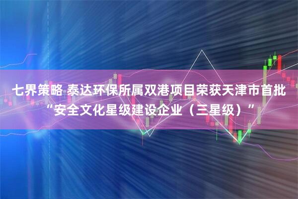 七界策略 泰达环保所属双港项目荣获天津市首批“安全文化星级建设企业(三星级)”