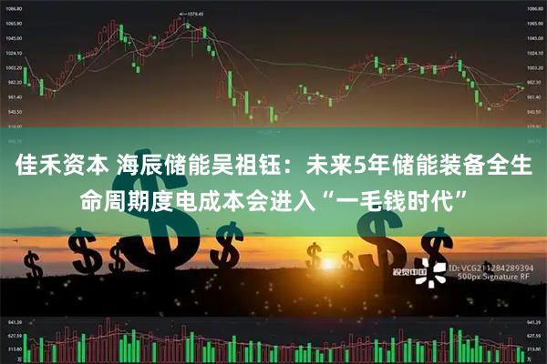 佳禾资本 海辰储能吴祖钰：未来5年储能装备全生命周期度电成本会进入“一毛钱时代”